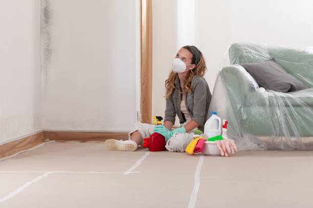 Reliable Mold Remediation contractor in Westwood, MI by WQB Mold Removal
